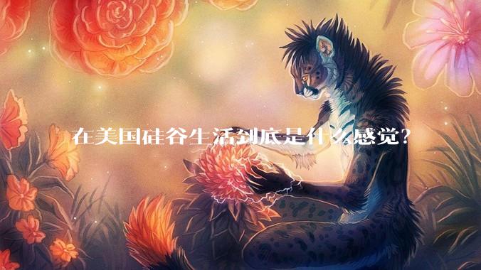在美国硅谷生活到底是什么感觉？