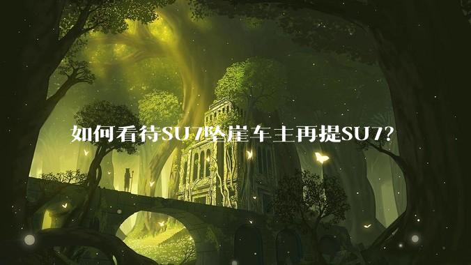 如何看待SU7坠崖车主再提SU7？
