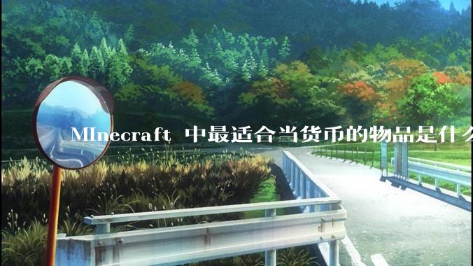 Minecraft 中最适合当货币的物品是什么？