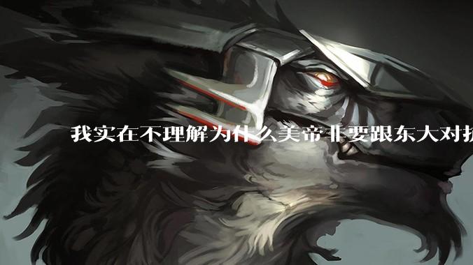 我实在不理解为什么美帝非要跟东大对抗？