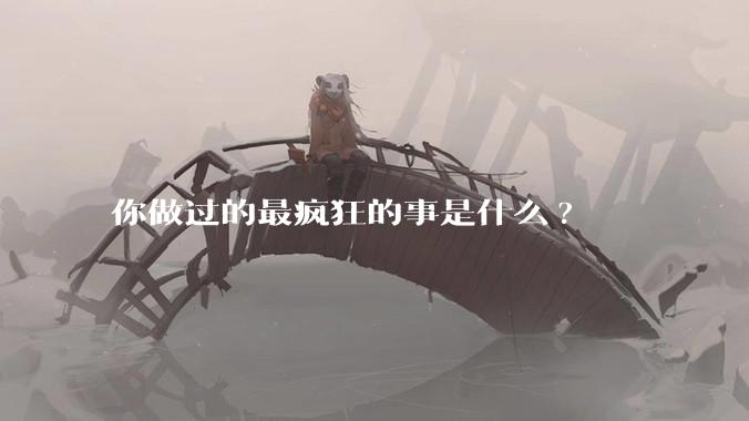 你做过的最疯狂的事是什么?