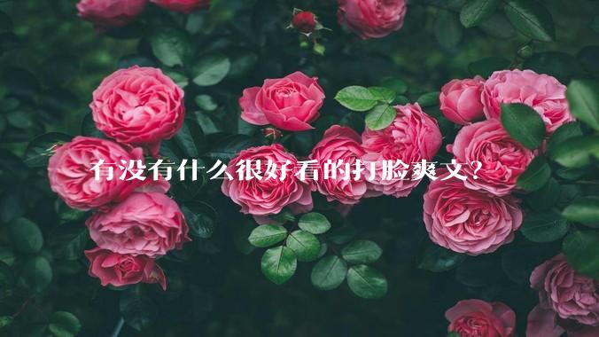 有没有什么很好看的打脸爽文？