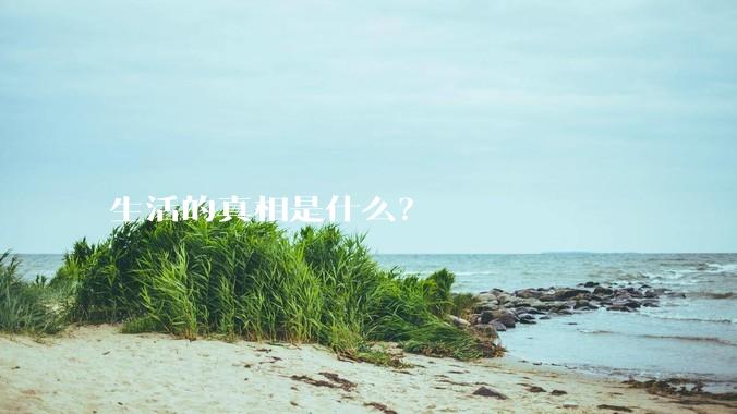 生活的真相是什么？